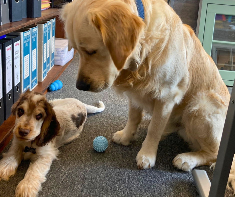 Omari and Swayze in the office